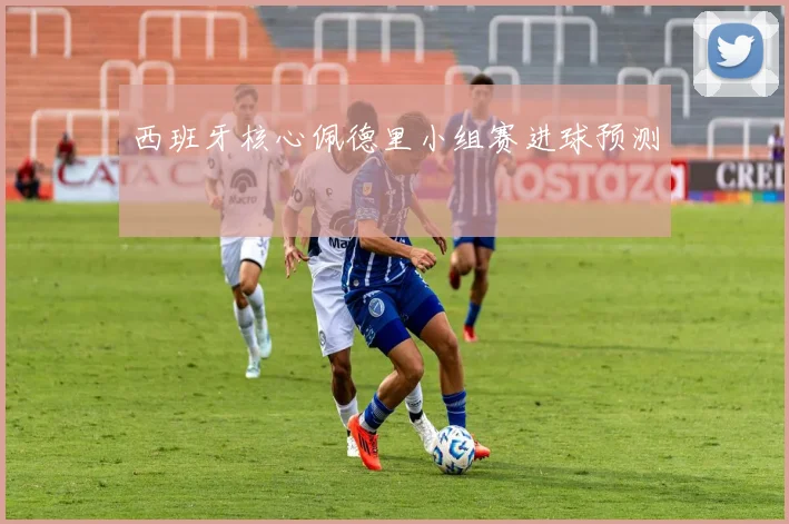 西班牙核心佩德里小组赛进球预测