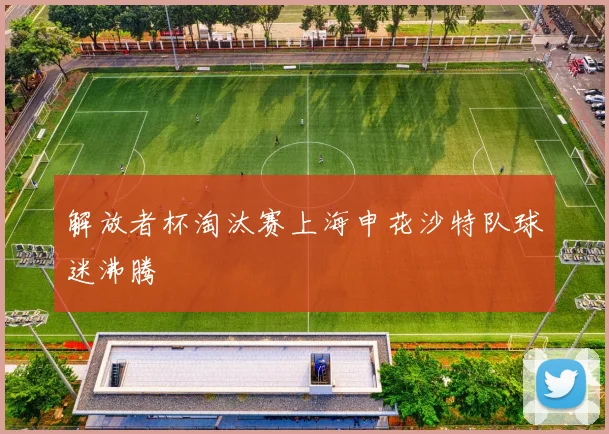 解放者杯淘汰赛上海申花沙特队球迷沸腾