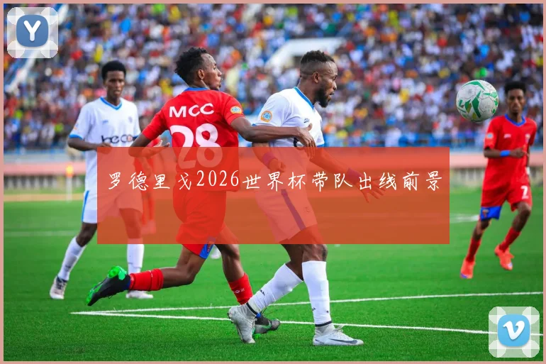 罗德里戈2026世界杯带队出线前景