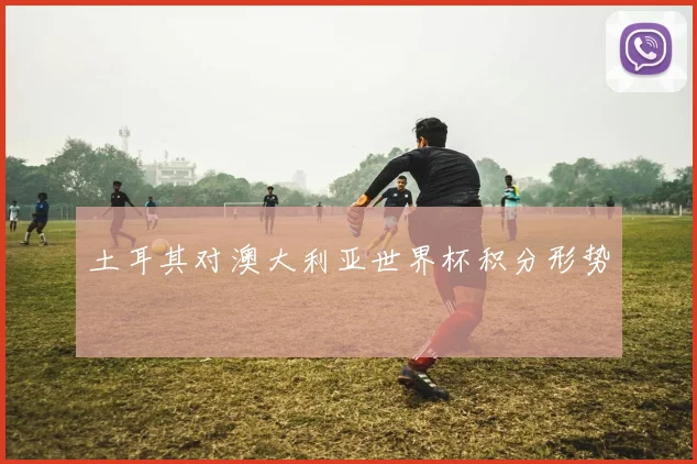 土耳其对澳大利亚世界杯积分形势