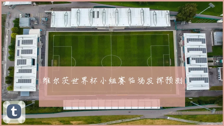 维尔茨世界杯小组赛临场发挥预测