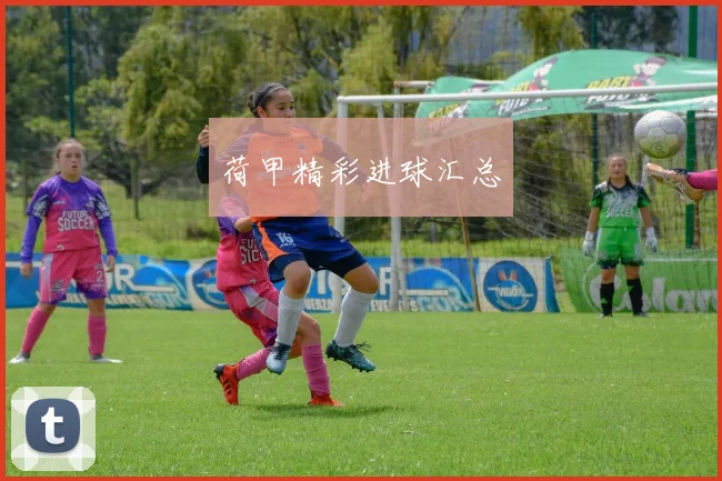 荷甲精彩进球汇总